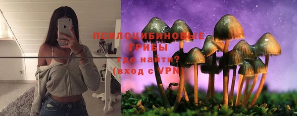 кокс Аркадак