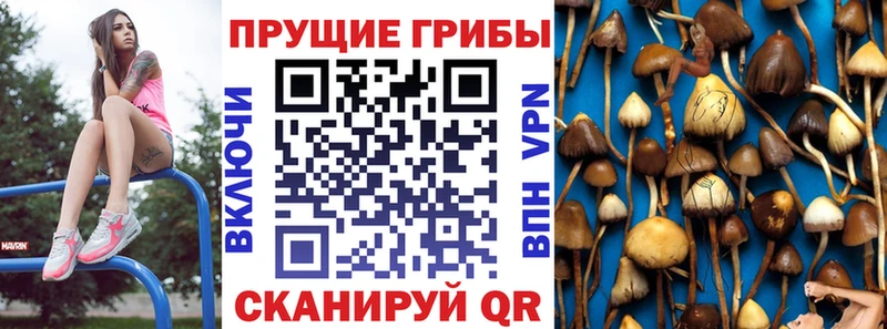 Псилоцибиновые грибы Psilocybe Ревда
