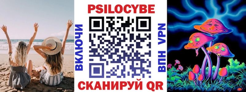 Галлюциногенные грибы мухоморы  где продают   hydra tor  Ревда 